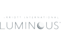 MIPP LUMINOUS LOGO MEDIUM 1 1