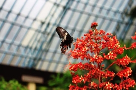 Bannerghatta Biological Park – Karnataka