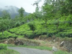 Trekking in the Knuckles Mountain Range