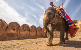 Rajasthan Incentive Tour