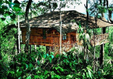 Wayanad – Stay In A Treehouse