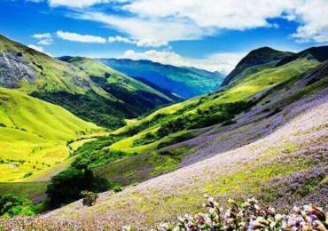 Munnar – Watch The Neelakurinji Bloom