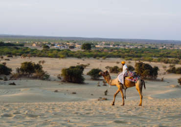 Camel Safari