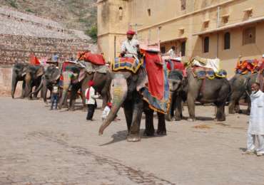 Elephant Safari at Amer Fort Jaipur