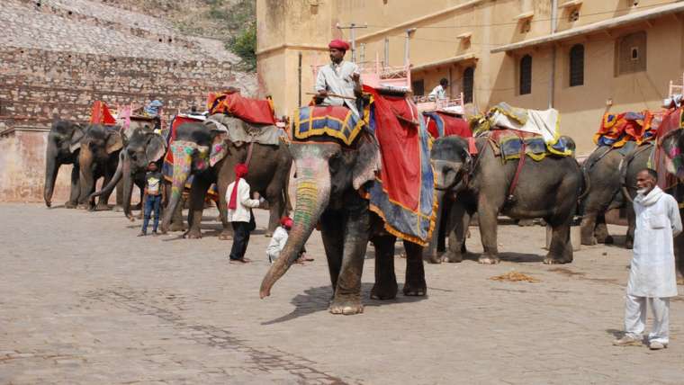 Elephant Safari at Amer Fort Jaipur