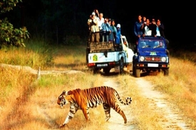 Jim Corbett National Park – Uttarakhand