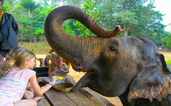 Sri Lanka Medium Incentive Tour