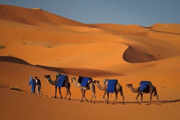 Glimpses of Morocco Incentive Tour