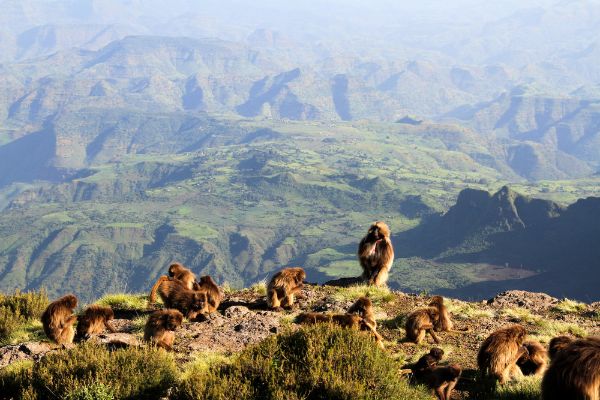 Landscape of Ethiopia Incentive Tour