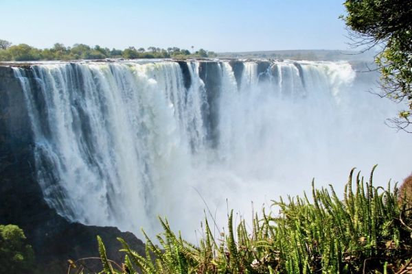 Memorable Africa Tour Incentive Tour