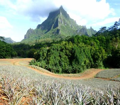 Tahiti and Moorea Vacation Incentive Tour