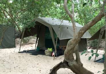Kumana Mobile Tented Camp, Kumana NP