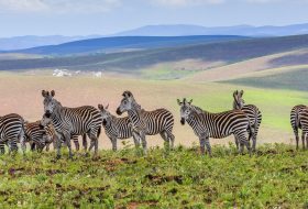experiences-in-malawi
