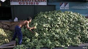 banana-republic