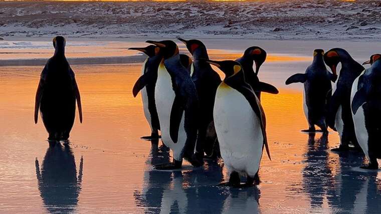 Falkland Islands