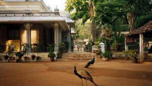 Sri Ramana Maharshi Ashram